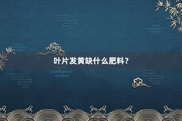叶片发黄缺什么肥料？