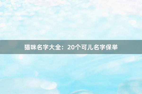 猫咪名字大全:20个可儿名字保举